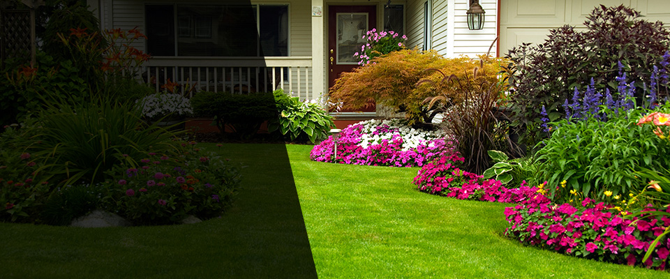 Gaffney Landscapers