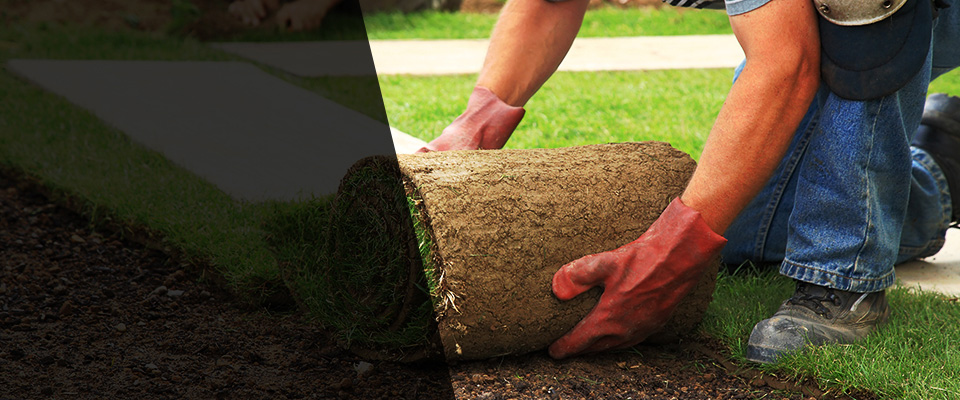 Gaffney Landscapers